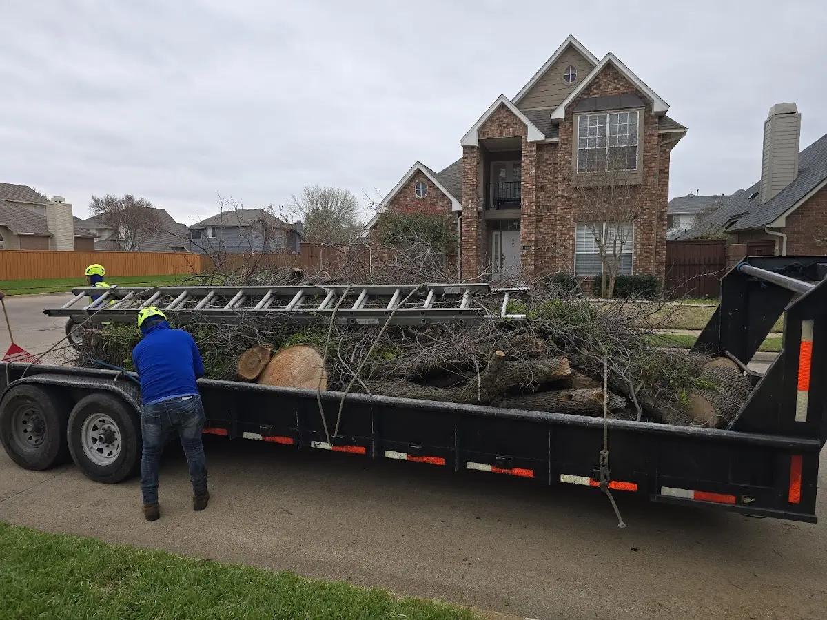 Expert Tree Removal with proper safety equipment in Ledgewood